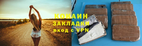 индика Иннополис