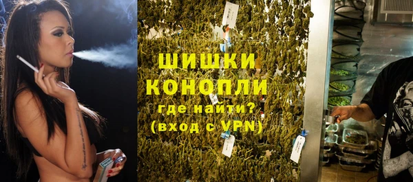 индика Иннополис