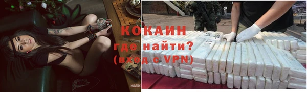 индика Иннополис
