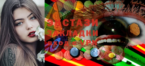индика Иннополис