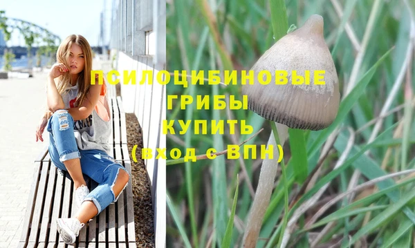 стафф Инсар