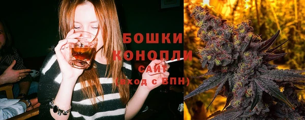 индика Иннополис