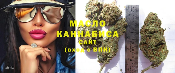 индика Иннополис