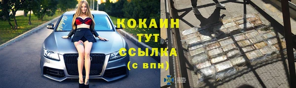 индика Иннополис