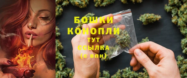 индика Иннополис