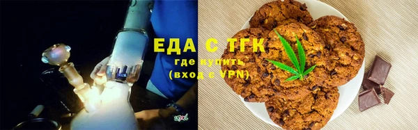 индика Иннополис