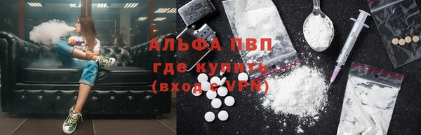 индика Иннополис